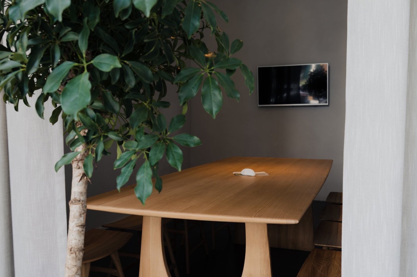 Een houten tafel met een plant in de rustige ruimte van OAAS